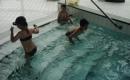 Plavecký výcvik 2008/2009