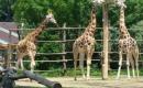 Výlet do ZOO ☺
