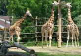 Výlet do ZOO ☺