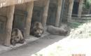 Výlet do ZOO ☺