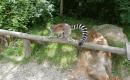 Výlet do ZOO ☺