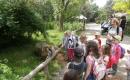 Výlet do ZOO ☺