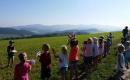 Loučení s vlaštovkou  →