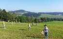 Loučení s vlaštovkou  →