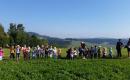 Loučení s vlaštovkou  →