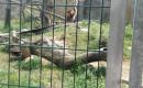 ZOO Hluboká ( školní výlet