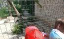 ZOO Hluboká ( školní výlet