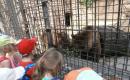 ZOO Hluboká ( školní výlet
