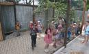 ZOO Hluboká ( školní výlet