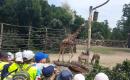 Výlet Zoo Plzeň