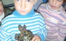 Školní výlet 1.10.2010