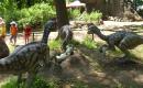 Zoo a dinopark Plzeň 2010