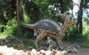 Zoo a dinopark Plzeň 2010