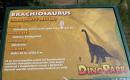 Zoo a dinopark Plzeň 2010