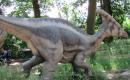 Zoo a dinopark Plzeň 2010
