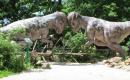 Zoo a dinopark Plzeň 2010